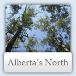 Alberta's North