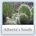 Alberta's South