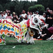 Dragon dance at Chinese Pavilion