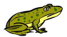 Illustration of the Columbia Spotted Frog