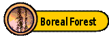 The Boreal Forest Region