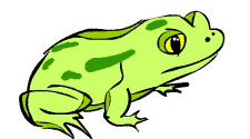 Illustration of the Plains Spadefoot Toad