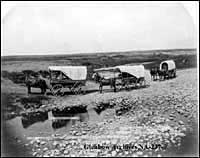 Three covered wagons from the United States in southern Alberta, crossing a riverbed, ca. 1893. Photograph captioned: \"Prairie schooners: \"Alberta or Bust\", from Uncle Sam to John Bull.\"