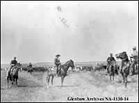 View of round-up riders, Cochrane, Alberta. ca. 1890-1893.