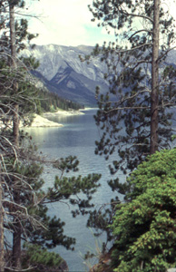View through the trees: Lake Minnewanka. Archaeologically, Lake Minnewanka is truly the Water of the Spirits. People have camped along its rocky shores for more than 100 centuries, leaving faint traces of their passing.