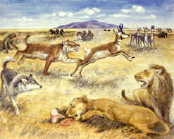 painting of animals