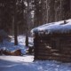 spruce log trappers cabin