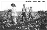Japanese in sugar-beet field in southern Alberta, ca. 1941-1945.