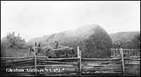 Stacking hay on Cochrane Ranch, Alberta, 1905.