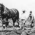 Dfrichement de la prairie ? la charrue tire par des chevaux,rgion de Carstairs, Alberta, ca. 1926.