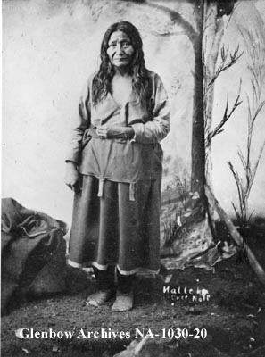 Nalleka, a Cree woman in Calgary, June 1885.
