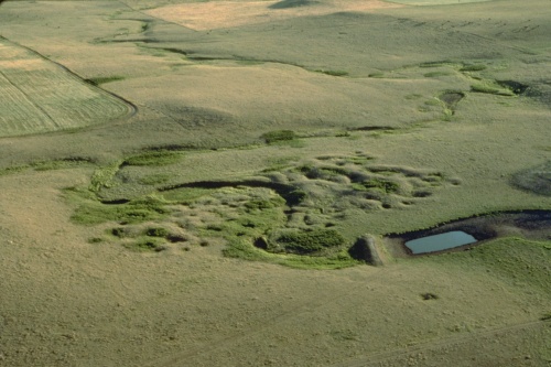 These ancient pits on the Knife River in North Dakota are the source of the Knife River flint used in many tools and points found in Alberta. This distinctive honey-coloured stone was traded over long distances for thousands of years.