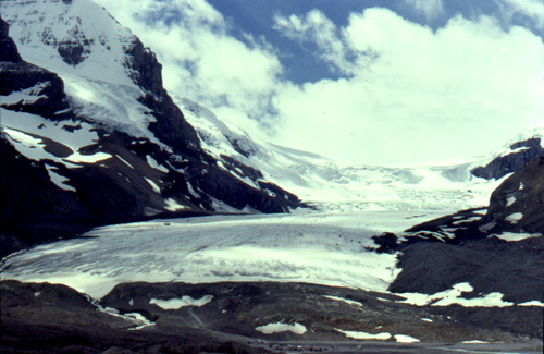Columbia Icefield. Global warming in the past 40 years has greatly reduced the size of the Athabasca Glacier, as can be seen by comparing these two photographs. This one, taken in 1997, shows the thinning toe of the glacier in a line with an outcropping of rock in the bottom right; the next photo, taken in 1960, shows the rock well behind the glacier.