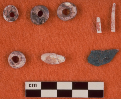 These shell beads and pieces of copper were found at a site on the Highwood River in southern Alberta in 1980. The site is believed to date from about 2700 years ago. The shell and copper suggest the Pelican Lake people of the time traded widely to acquire these decorative materials. The copper would have come from the Great Lakes area, about 3000 kilometers away. The shells are not native to Alberta and would have come from the Pacific Coast.