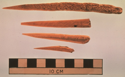 Not all tools were made from stone. These bone awls were used to make holes in leather and hides before sewing.