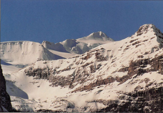 Mount Balfour and Waputik Icefield in the Mountain Region of Alberta.