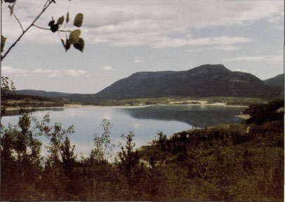 Barrier Lake in the Mountain Region of Alberta.