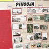 Pihooja family