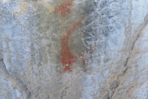 Pictogrammes Hopi sur les murs du canyon de la Grotte.