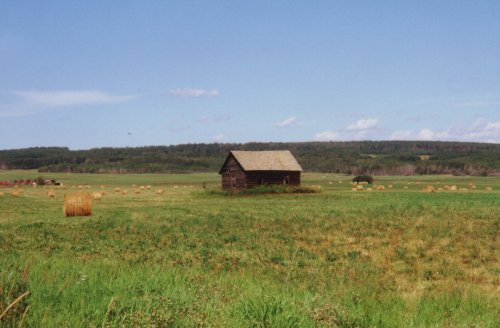 Une cabane de concession de la colonie Heart River, ca. 1915-16, aprs l'extension du chemin de fer vers cette rgion de la province.