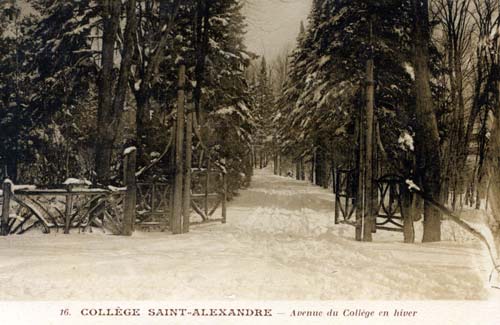 St. Alexander's College