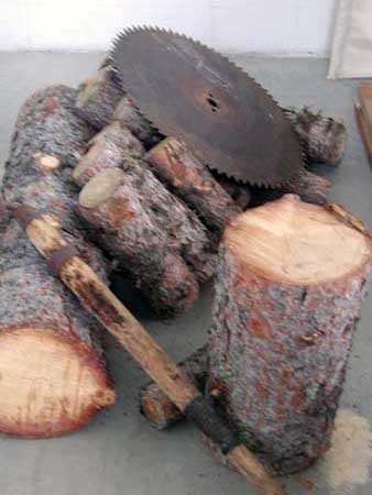 Some wood, a saw blade, and an axe-handle