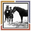 Ernest Forrand et ses chevaux