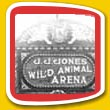 Wild Animal Arena