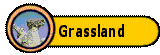 The Grassland Region