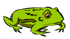 Illustration of a Canadian Toad