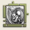 Leonardo da Vinci: 'Foetus in the uterus', pen and ink, approx. 1512. The study of human anatomy remained controversial for centuries, and even though Da Vinci inspired further explorations of the human body during the Rennaisance, he did not publish these illustrations in his lifetime. 