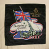 Champions of Freedom- R.C.A. Brandon pillow case