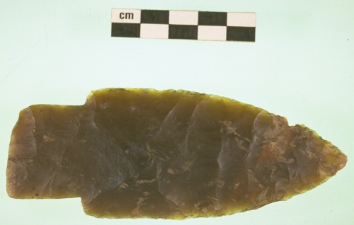 An excellent sample of a Scottsbluff point.