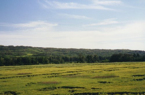 Landscape along Shaftesbury Trail.
