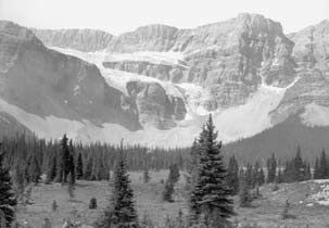 Crowfoot Glacier, [1930s]. (PAA P.6584)