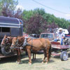 Horse-and-wagon days