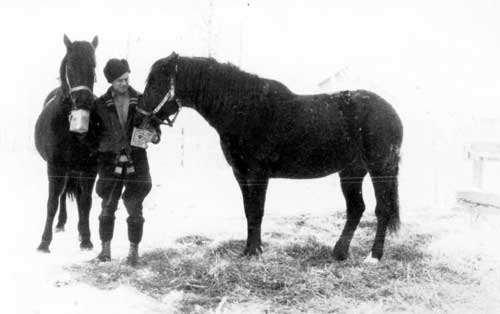 Ernest Forrand and horses