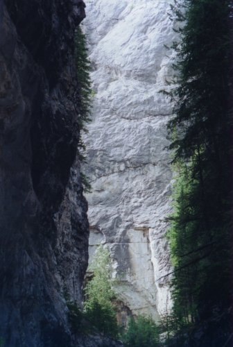Vue des murs du canyon de la Grotte.