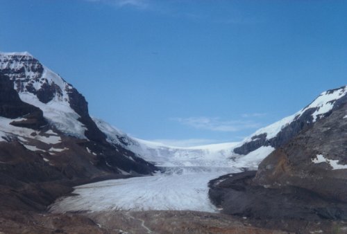 Vue du glacier Athabasca