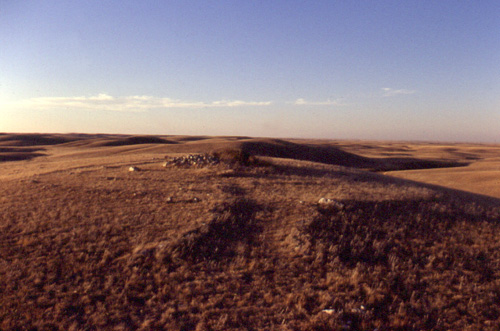 Site de cercle d'influences, sud de l'Alberta.