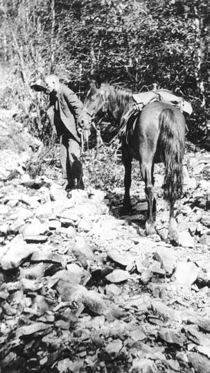 Surveyor and horse have a drink, Big Horn and Cline Rivers, 1915. (GAI NA-2657-14)